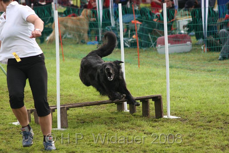 jubil.lusten3 094.jpg